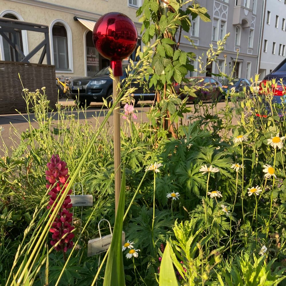 Urbanes Grün Grünpaten MÜnchen