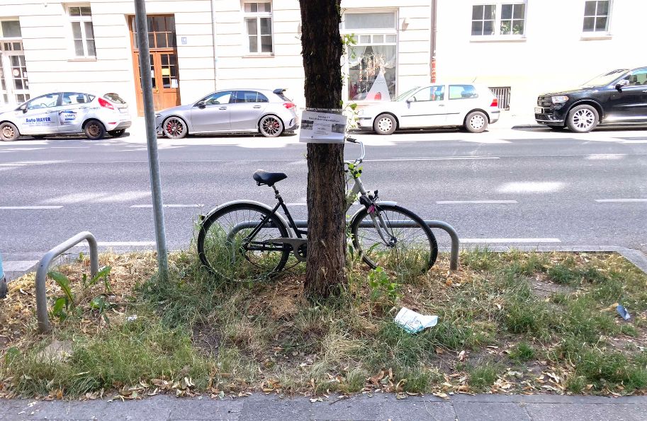 GrünPaten Beet Schleißheimer 87