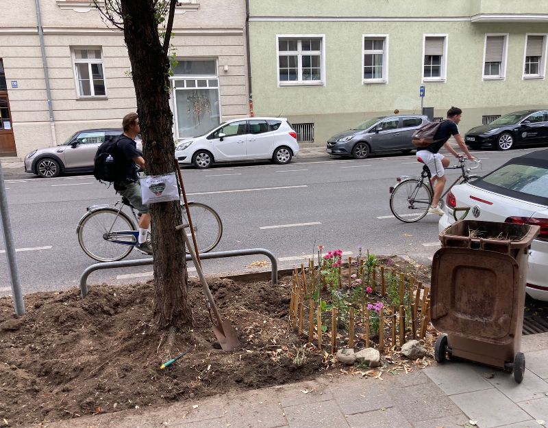 GrünPaten Beet Schleißheimer 87