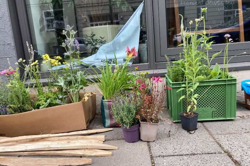 GrünPaten Beet Aktionstag