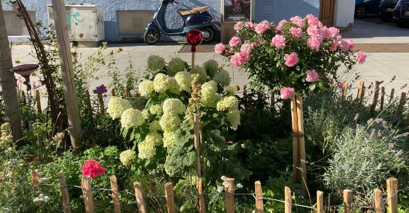 Grünpaten Beet Georgenstraße München