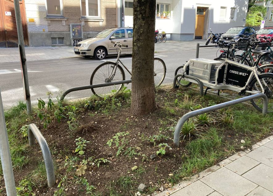 Green City Beet München