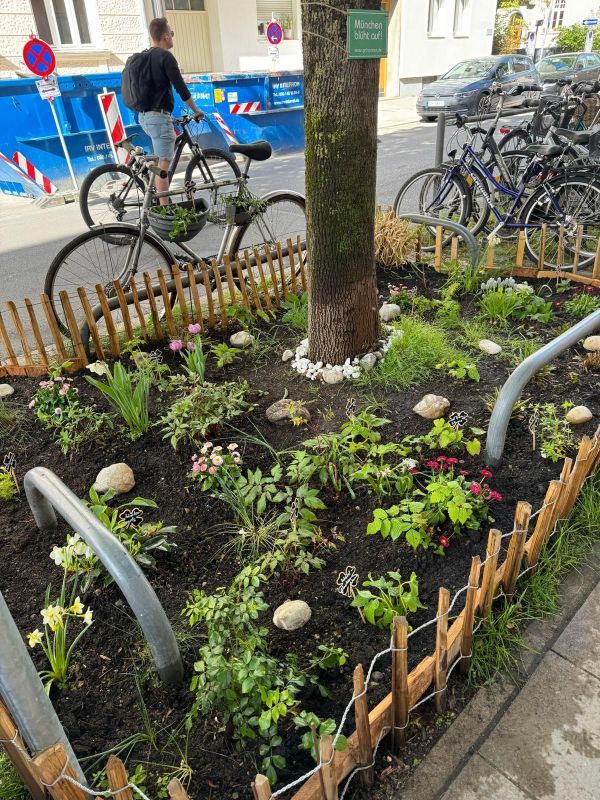 GrünPaten-Beet Georgenstraße91