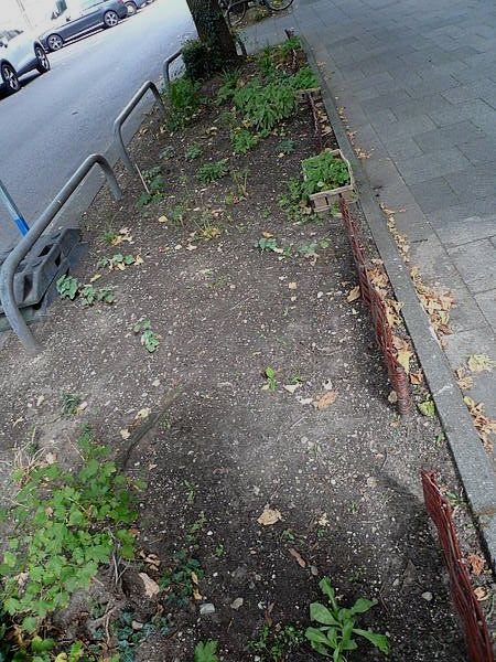 Green City Beet München