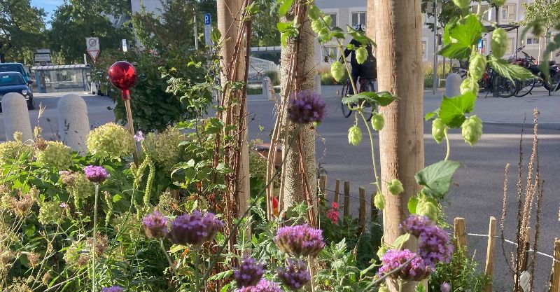 Grünpaten Beet München
