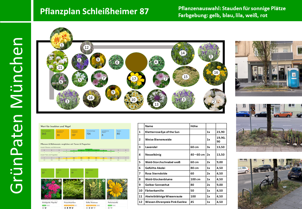 Pflanzenplan GrünPaten