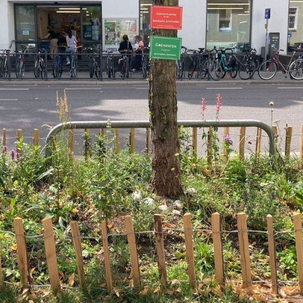 PflanzenPlan GrünPaten