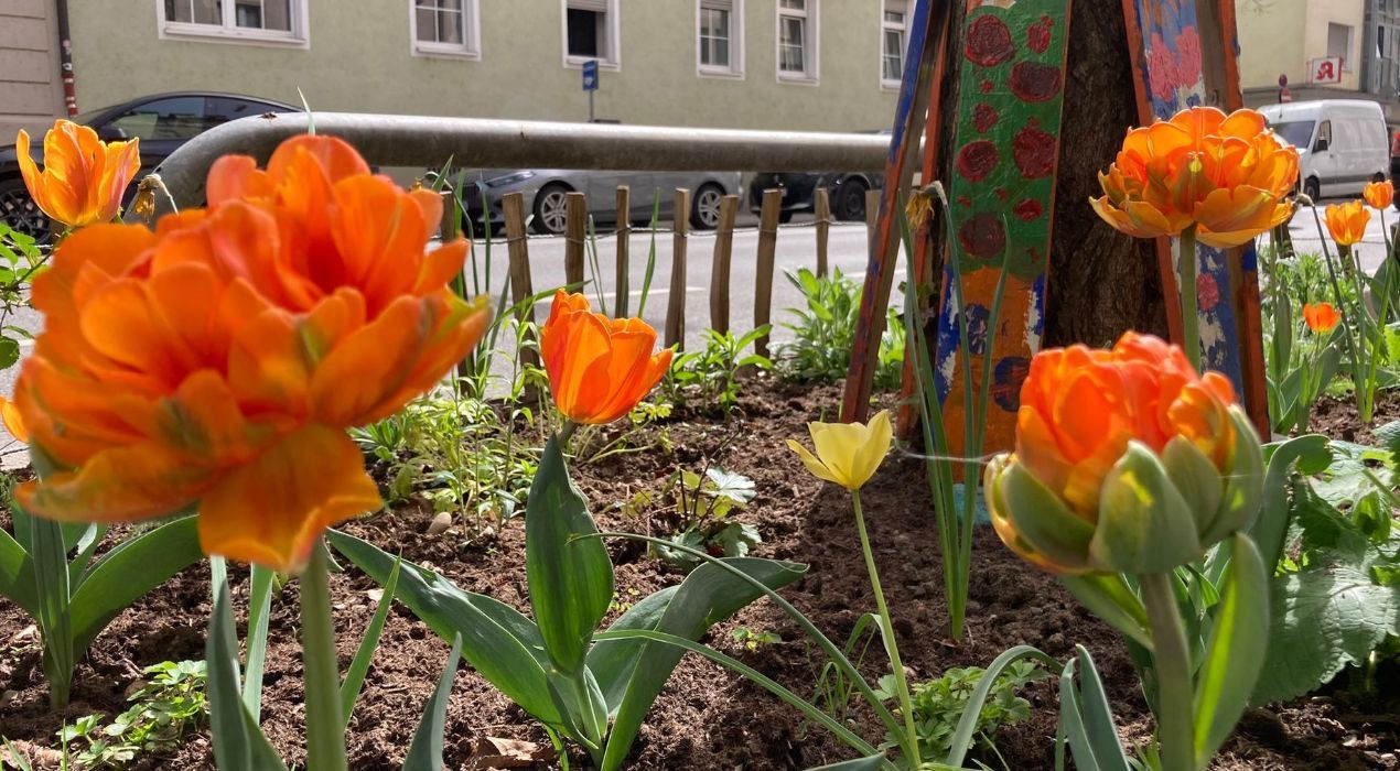 Frühlingserwachen München