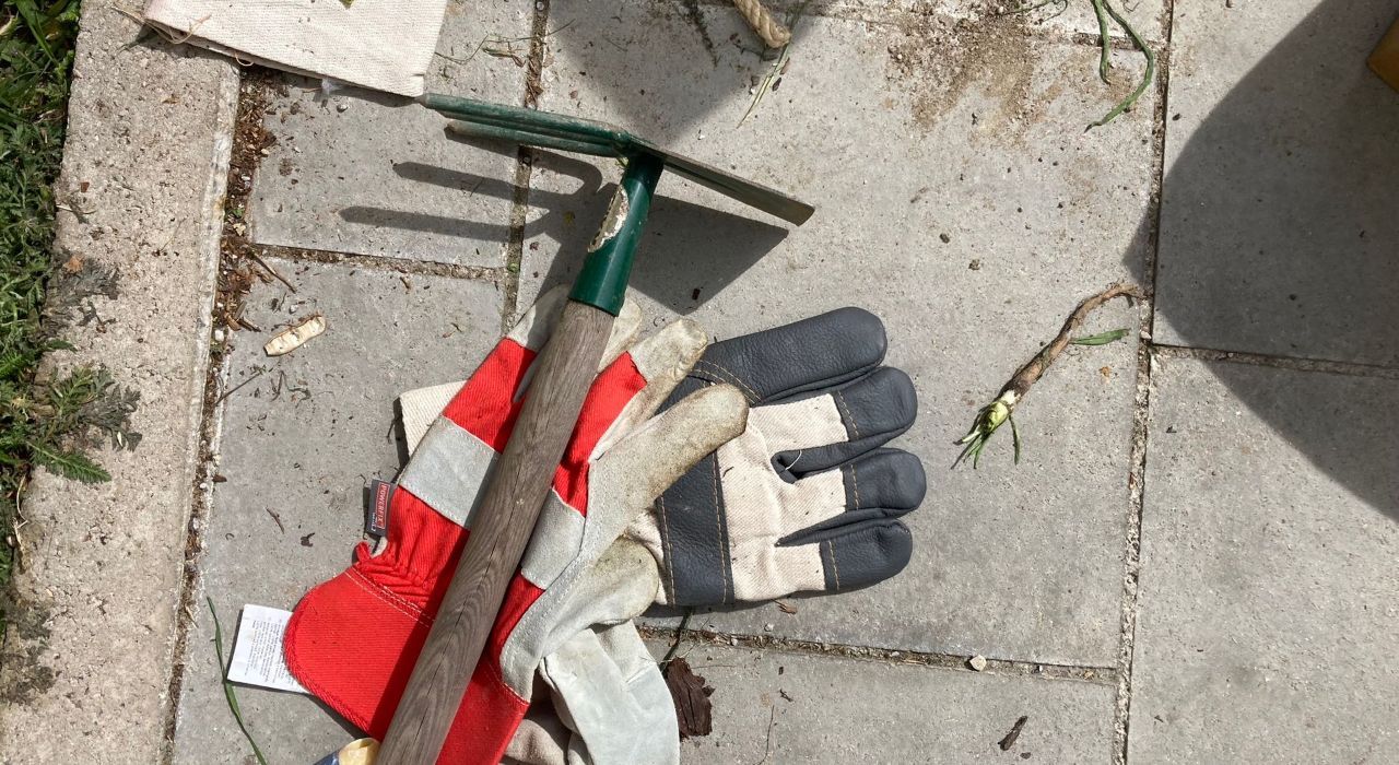 GrünPaten Pflanzung