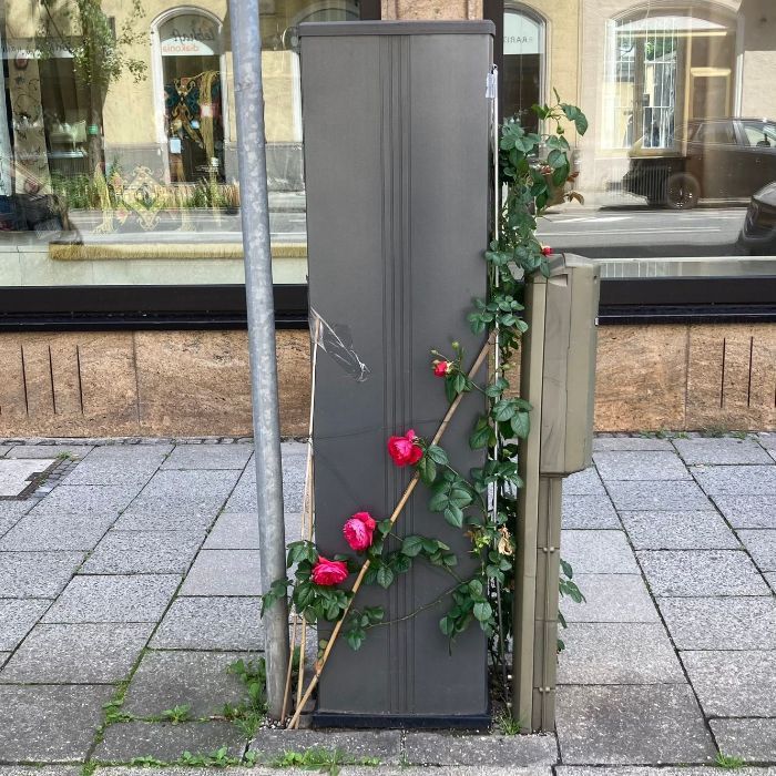 GrünPaten München