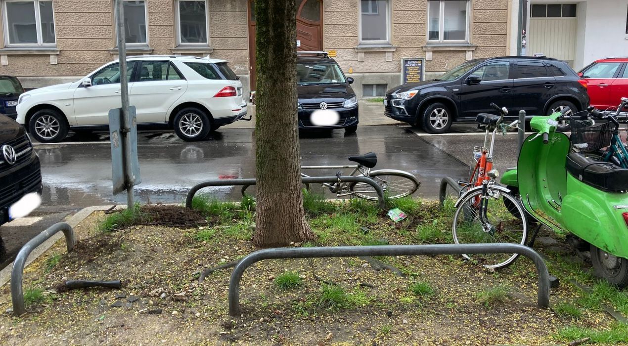 PflanzenPlan GrünPatenSchatten