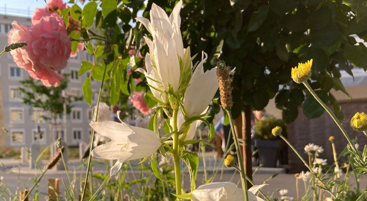 Grüner Daumen München