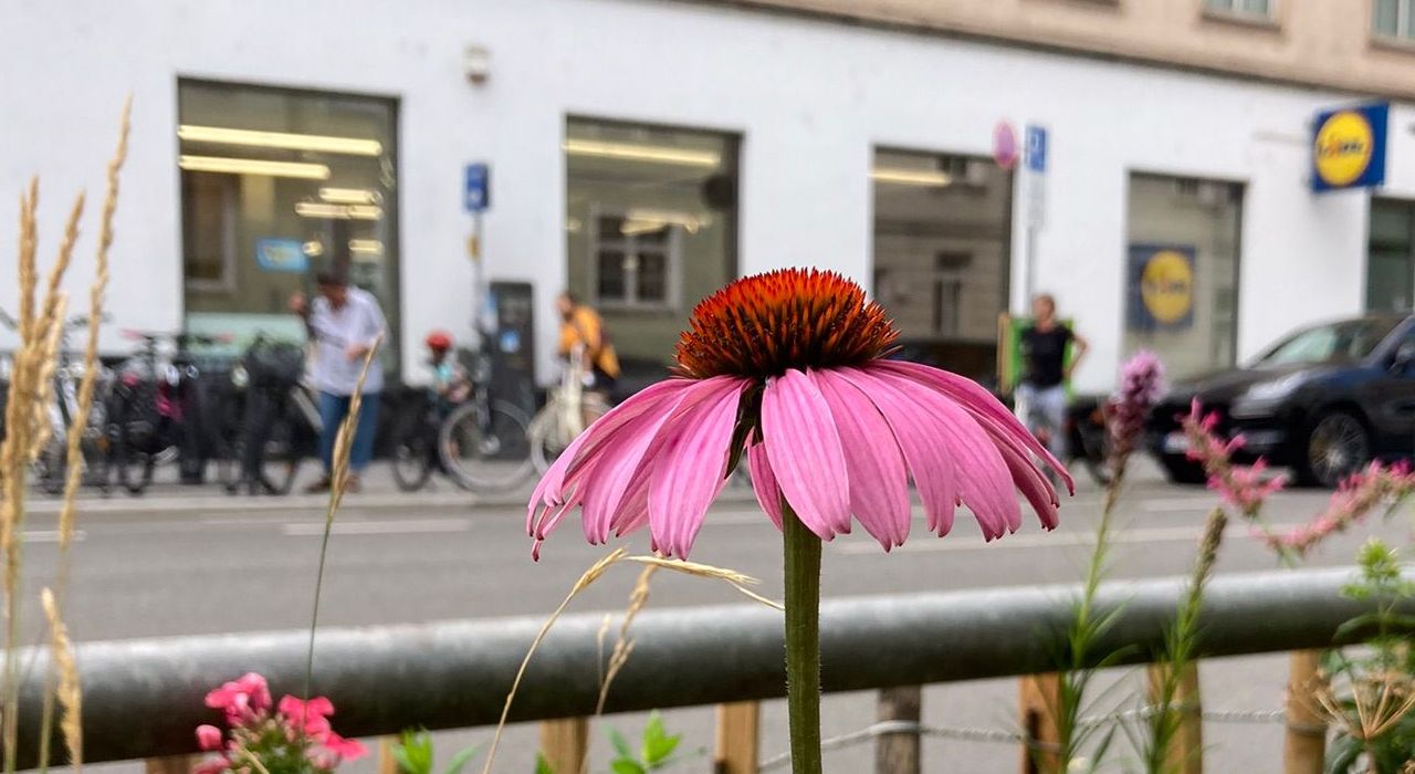 GrünPaten Artenvielfalt 