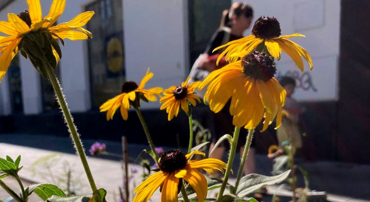 Biodiversität in München
