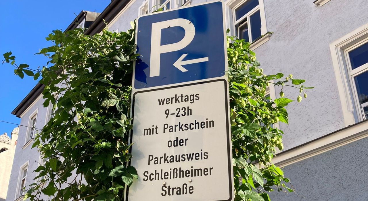 Grünpaten in Schwabing
