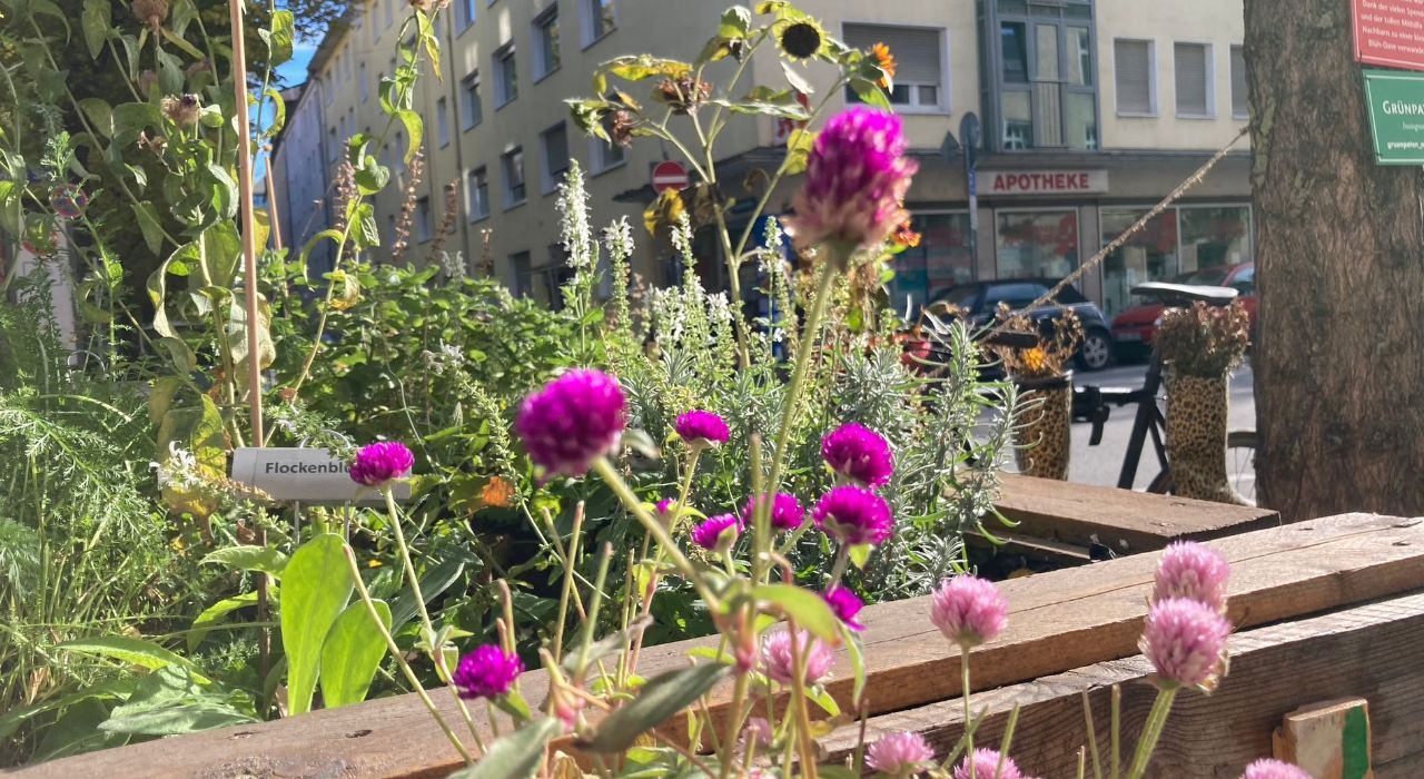 BioDivHub  GrünPaten München