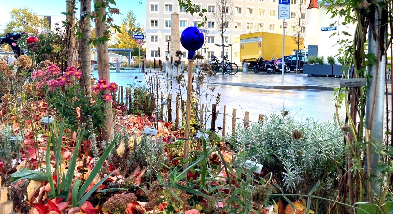 BioDivHub  GrünPaten München