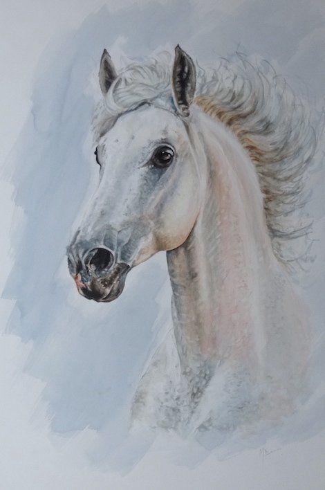 horse artwork