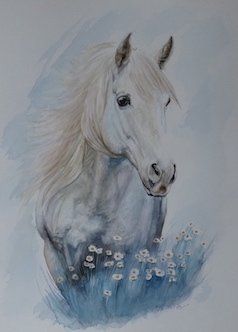 horse artwork