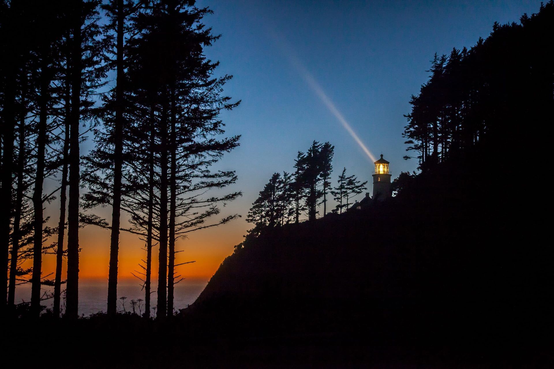 A lighthouse in the middle of a forest at sunset