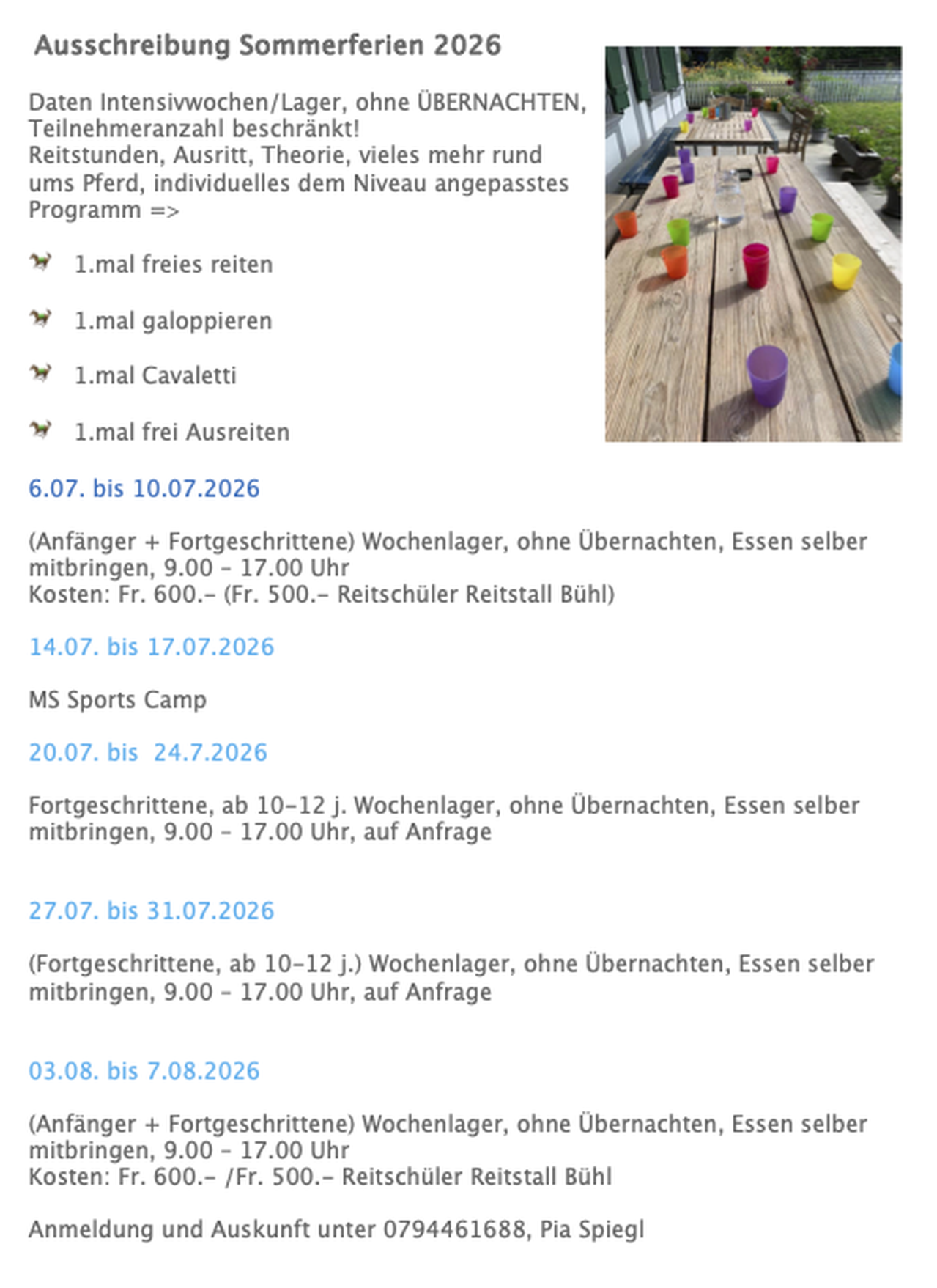 Plakat für eine Sommerveranstaltung mit Aktivitätenliste und einem Foto von Kindern, die auf einer Holzbrücke am Wasser spielen.