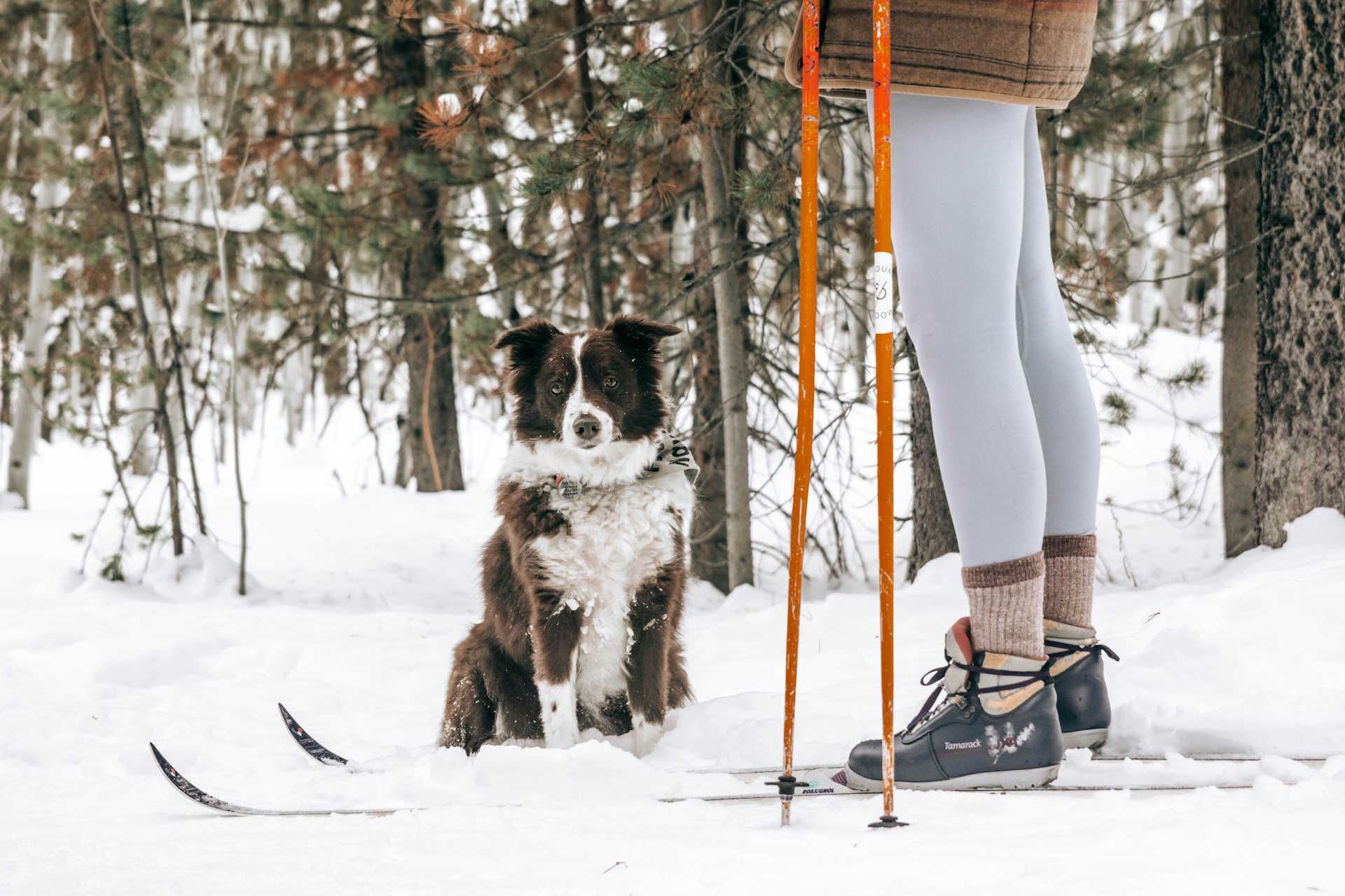 Crabbe Mountain cross country skiing
