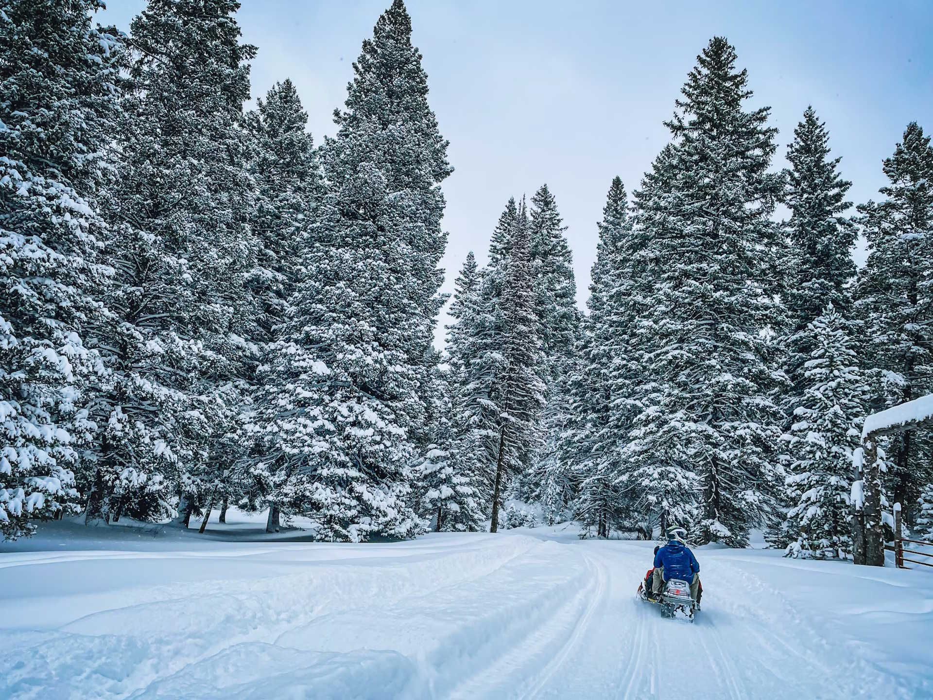 Crabbe Mountain snowmobiling