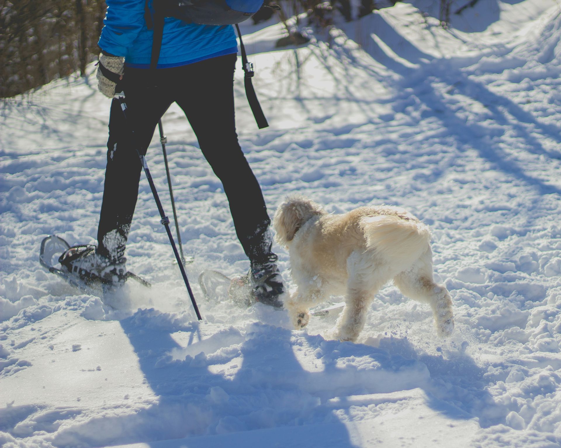 Crabbe Mountain snowshoe