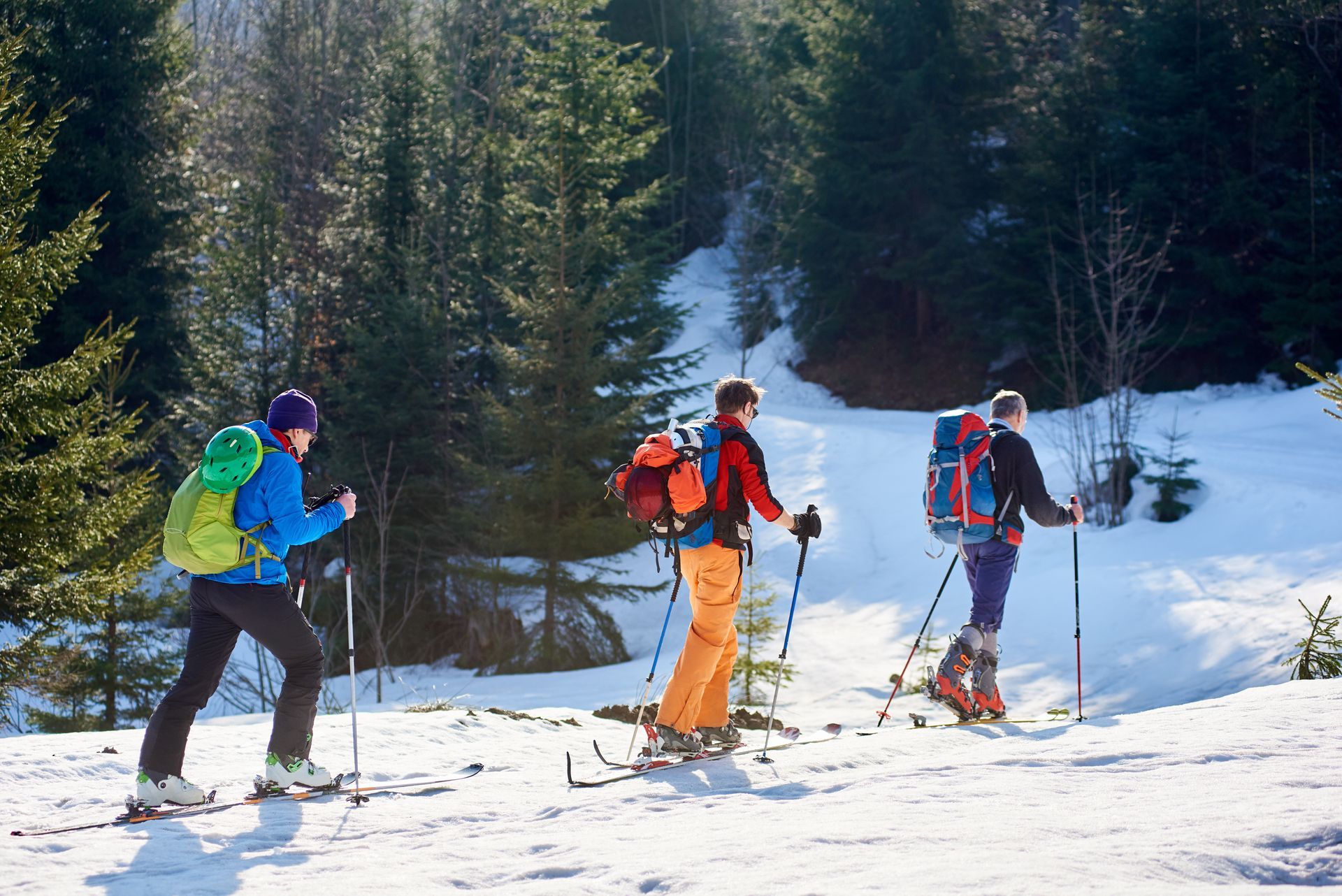 Crabbe Mountain Uphill