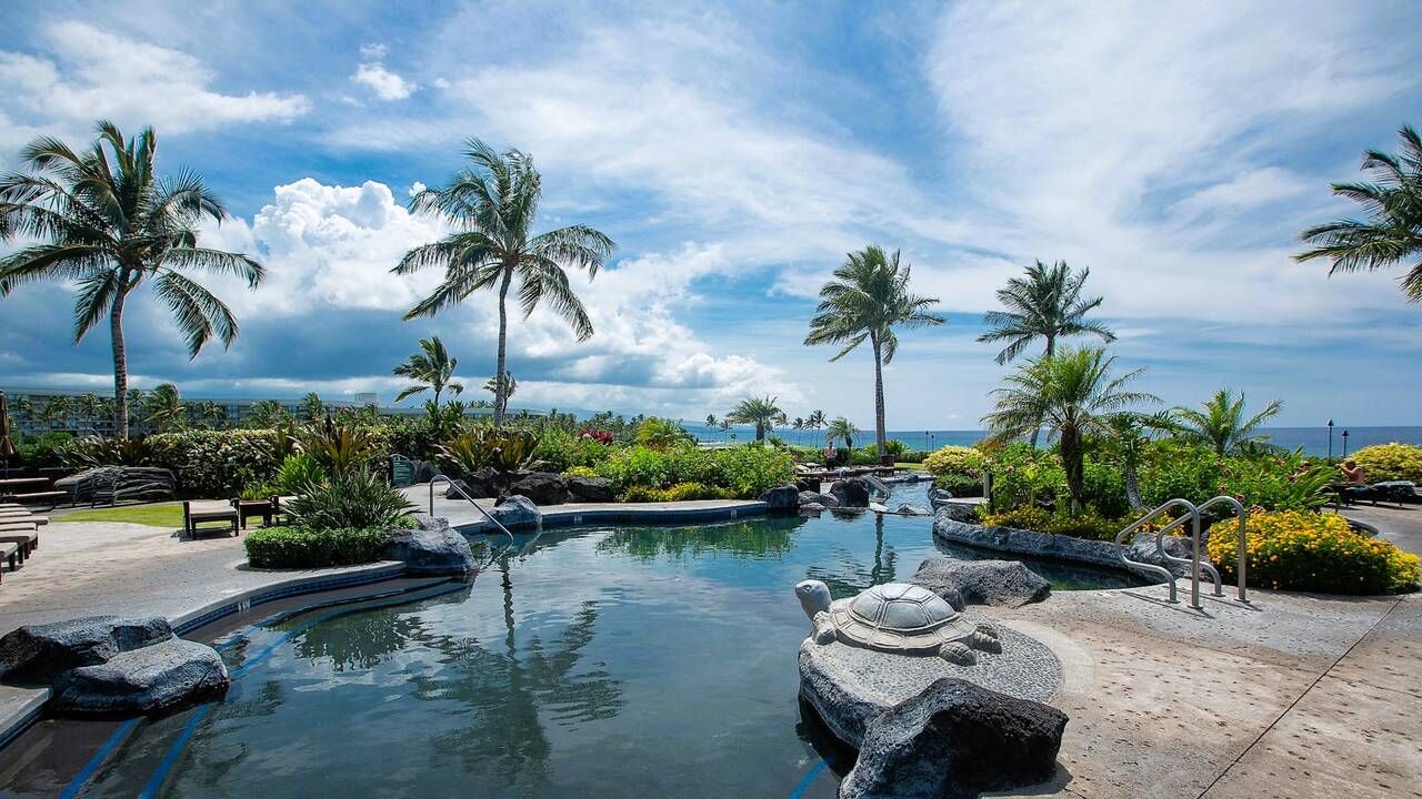 Pool by the ocean listed by agents near waikoloa hawaii Lance and Kimi 