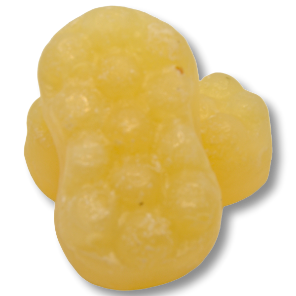Concha Nácar2