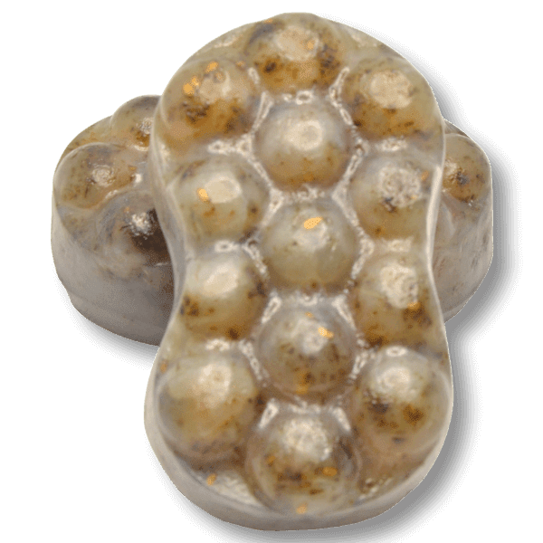 Organic Bubble