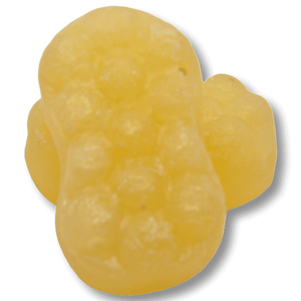 Organic Bubble