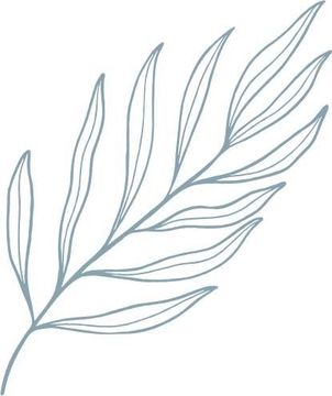 A drawing of a leaf on a white background.