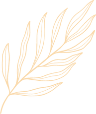 A drawing of a green leaf on a white background.