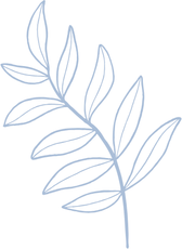 A drawing of a green leaf on a white background.