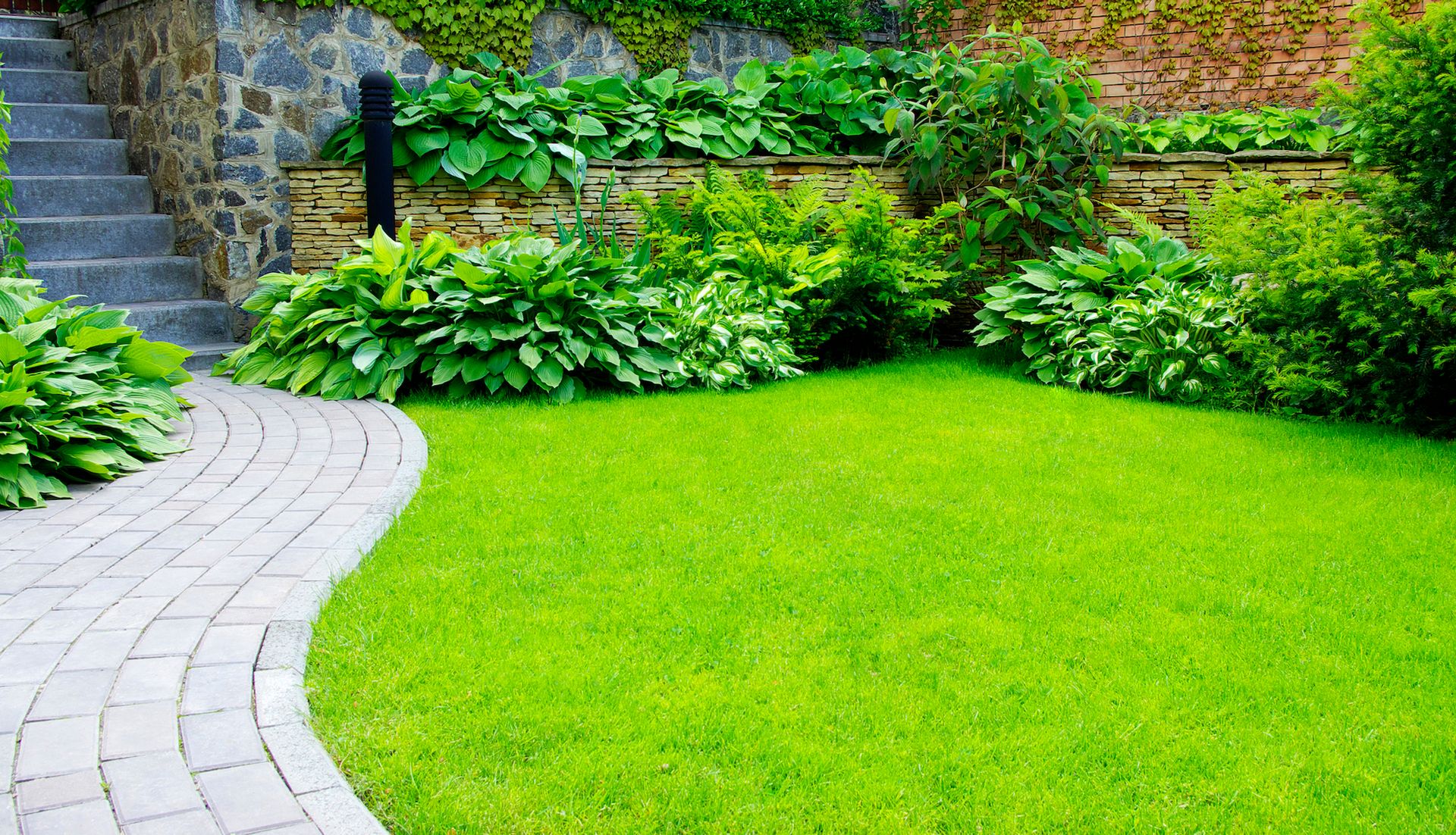 Lush green lawn toward a stone retaining wall filled with leafy plants and shrubs.