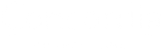 Blank white rectangle with a thin black border and a thin blue strip near the bottom.