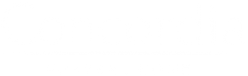 Blank white rectangle with a thin black border and a thin blue strip near the bottom.