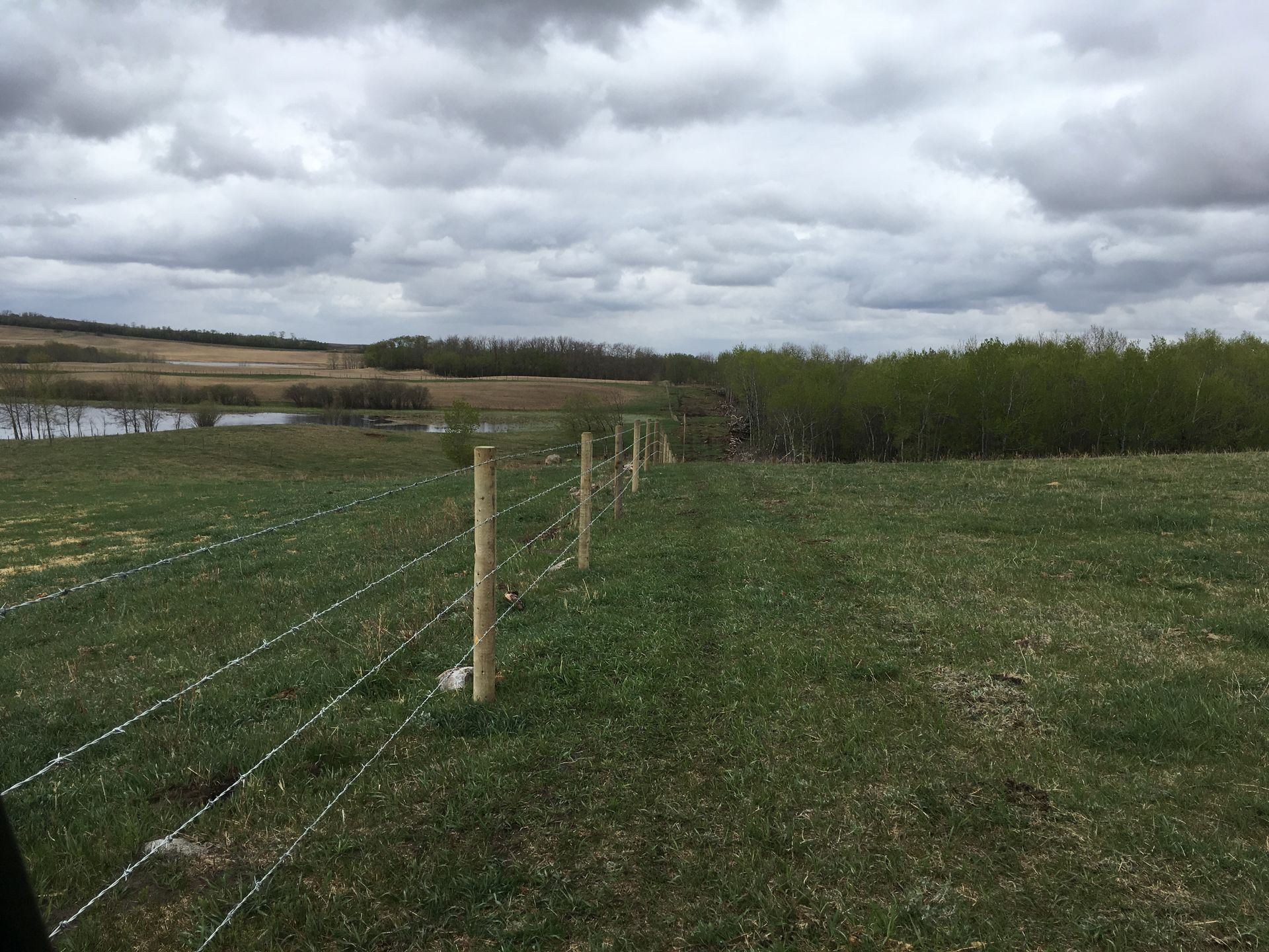 barbed wire fence