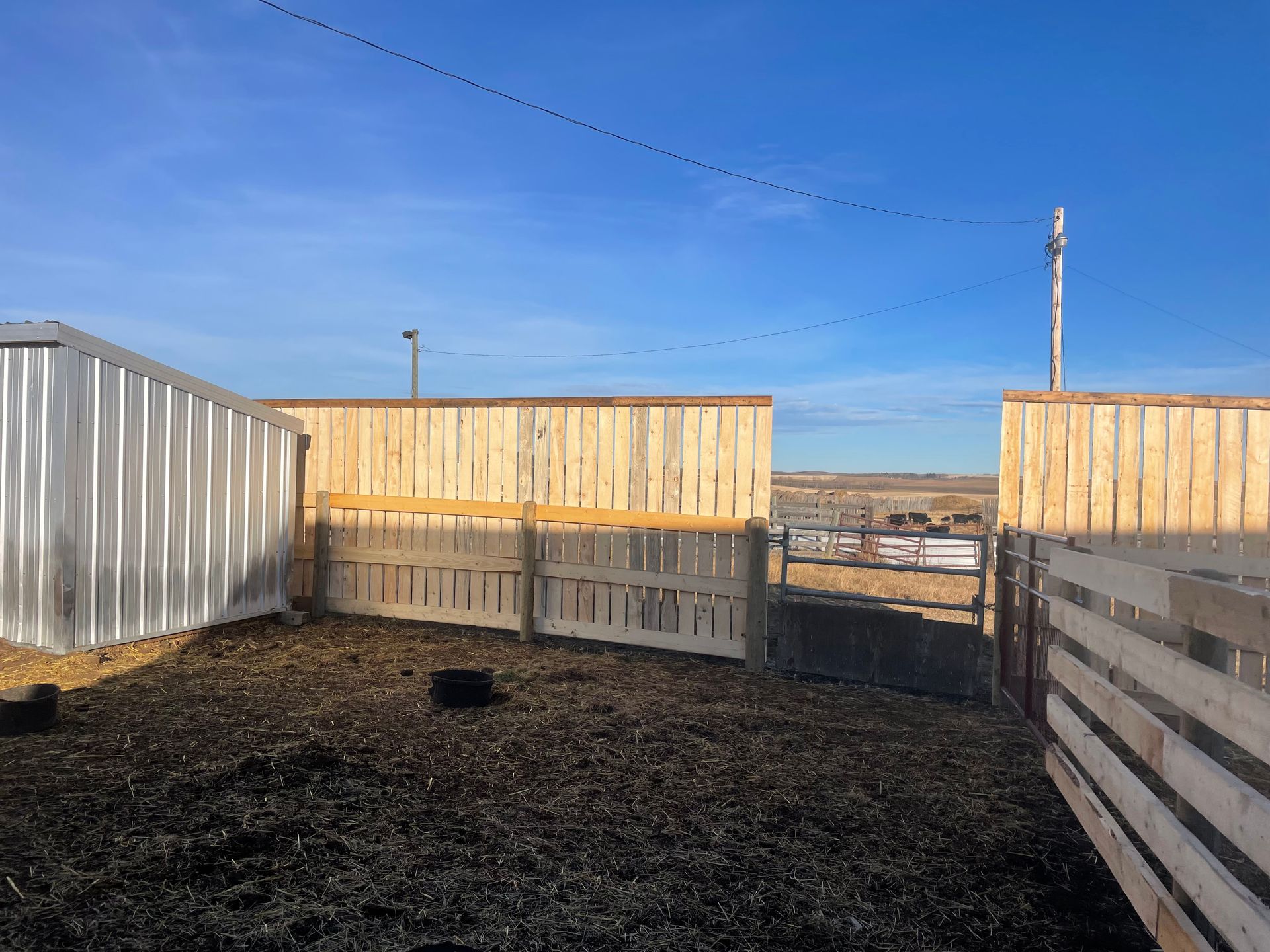 Livestock fencing