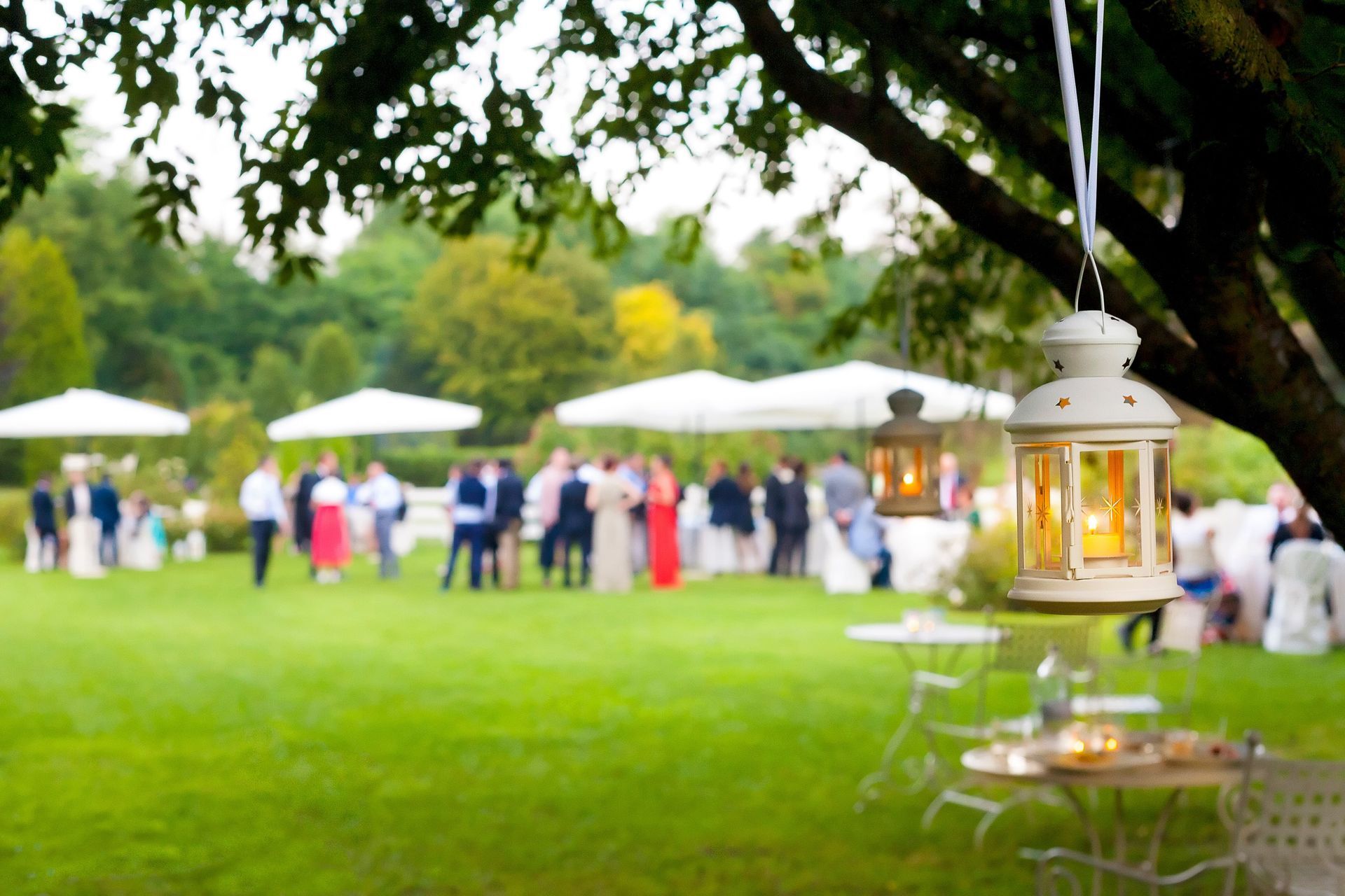 Canopy Awning for Outdoor Event