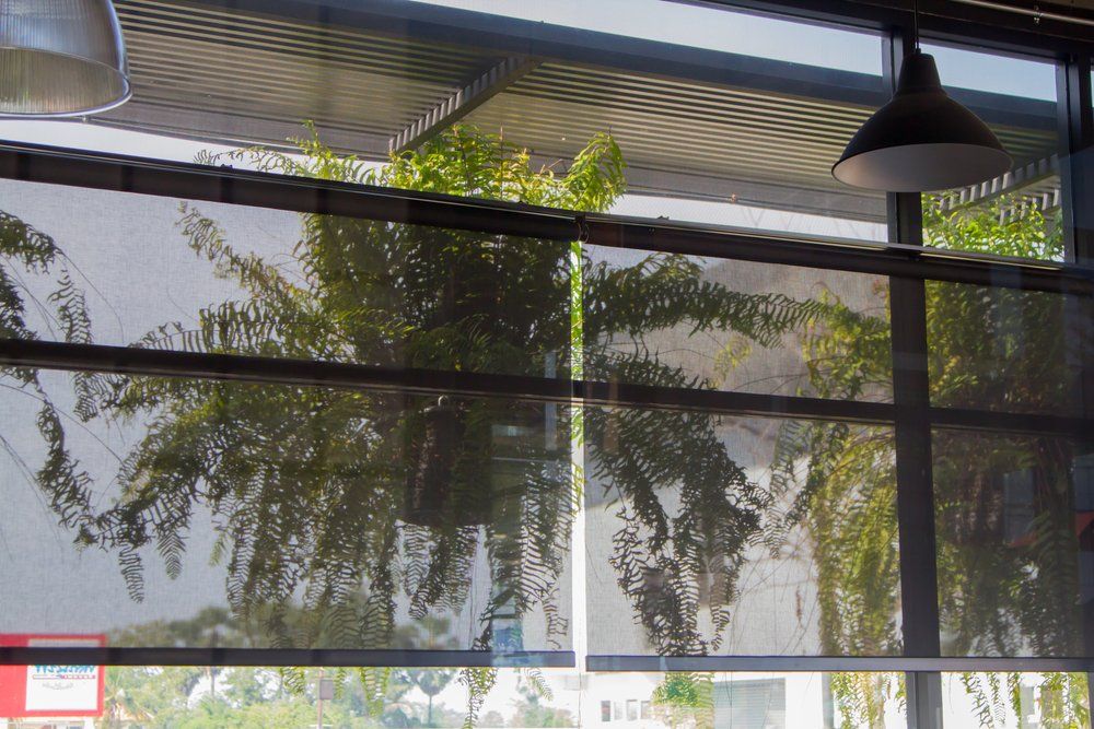 Roller Blind Window