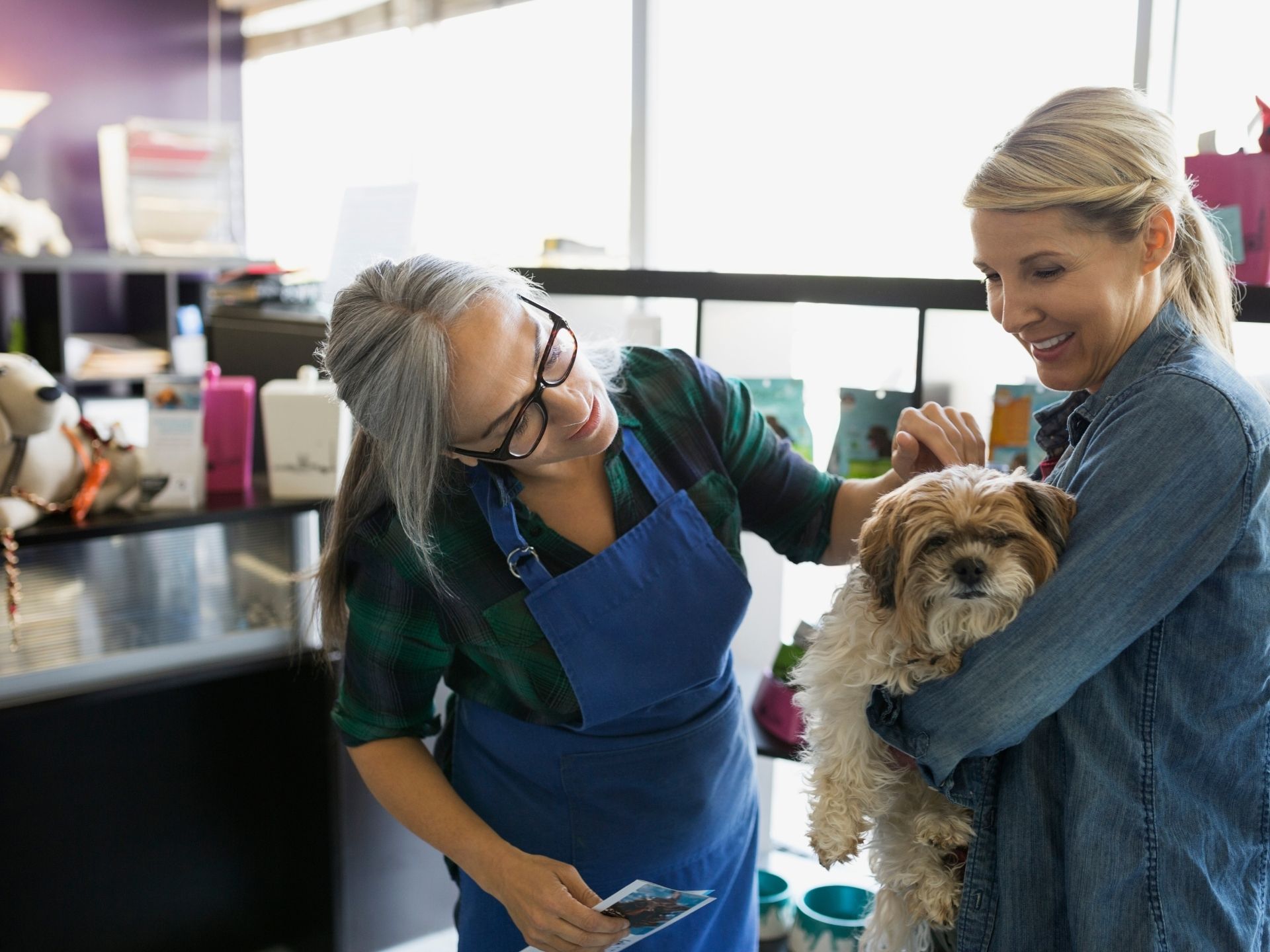 Year-End Insurance Review for Pet Businesses