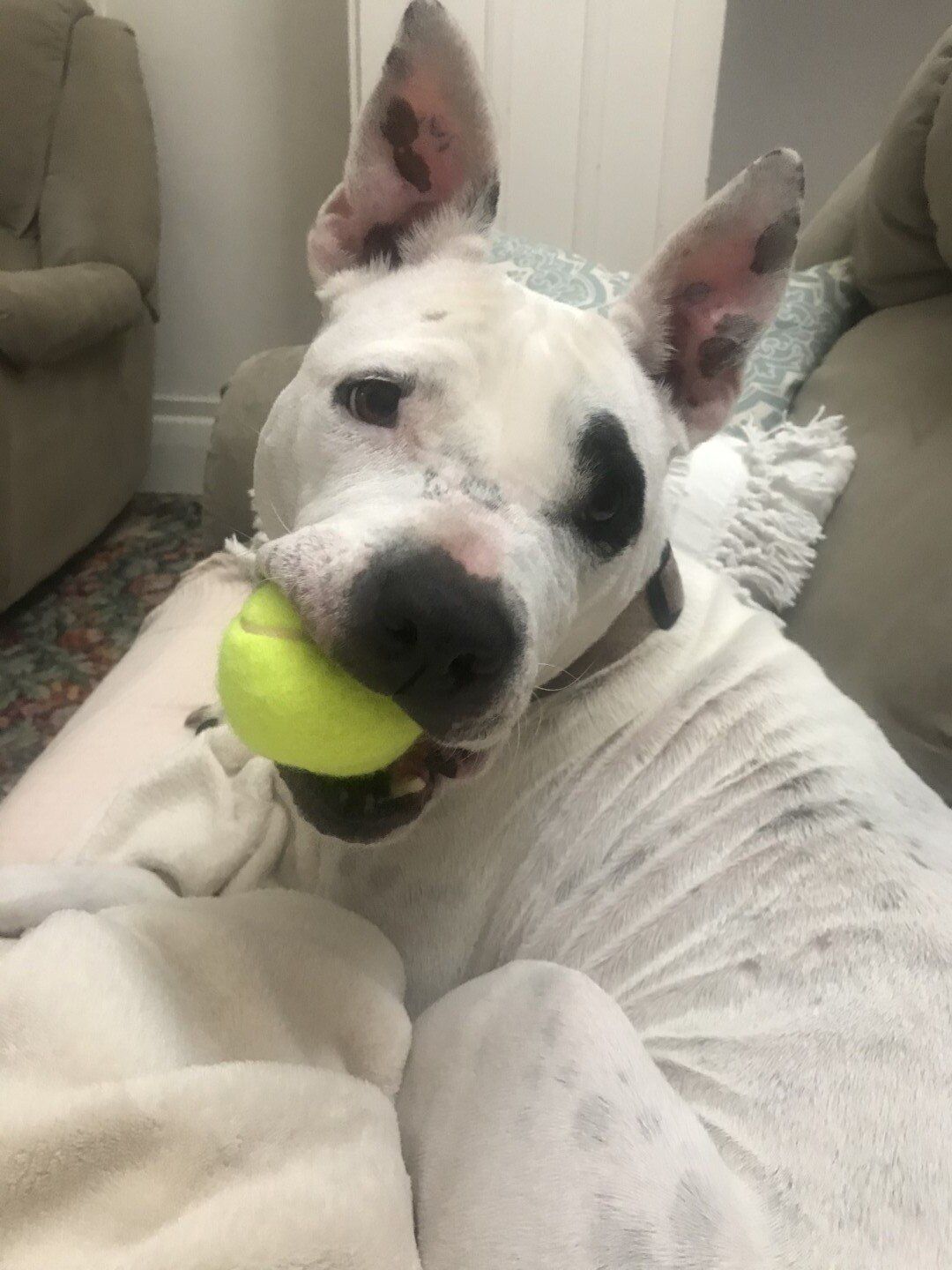 Mia