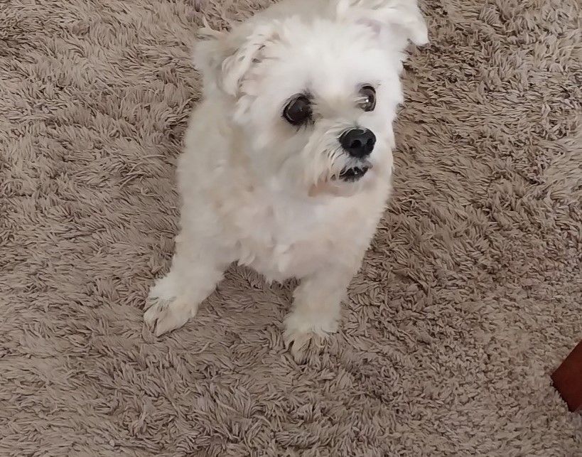 Missy