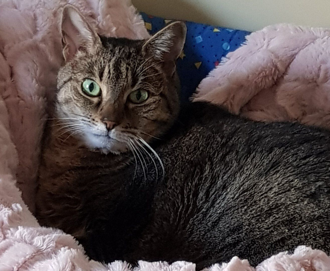 Bella
