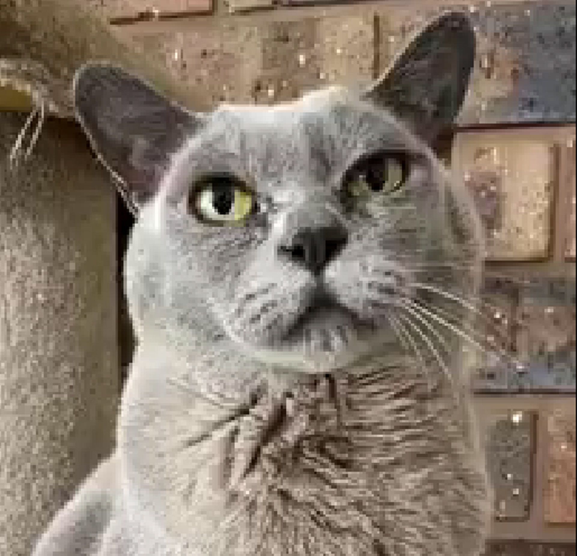 Oscar
