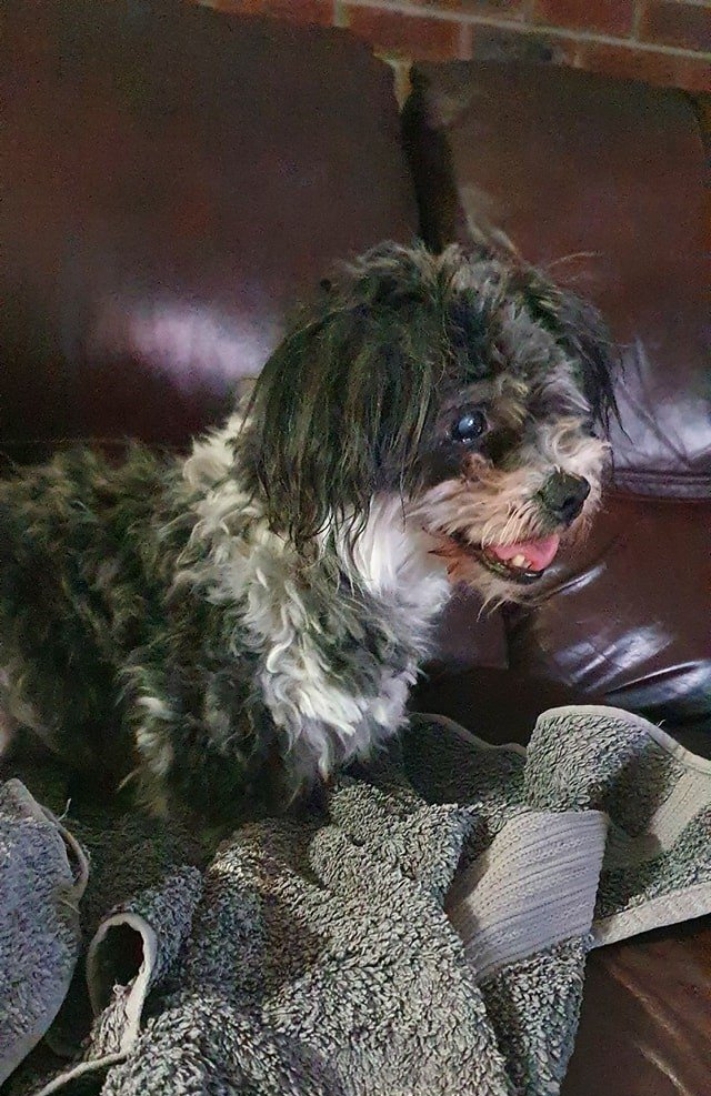 Oscar