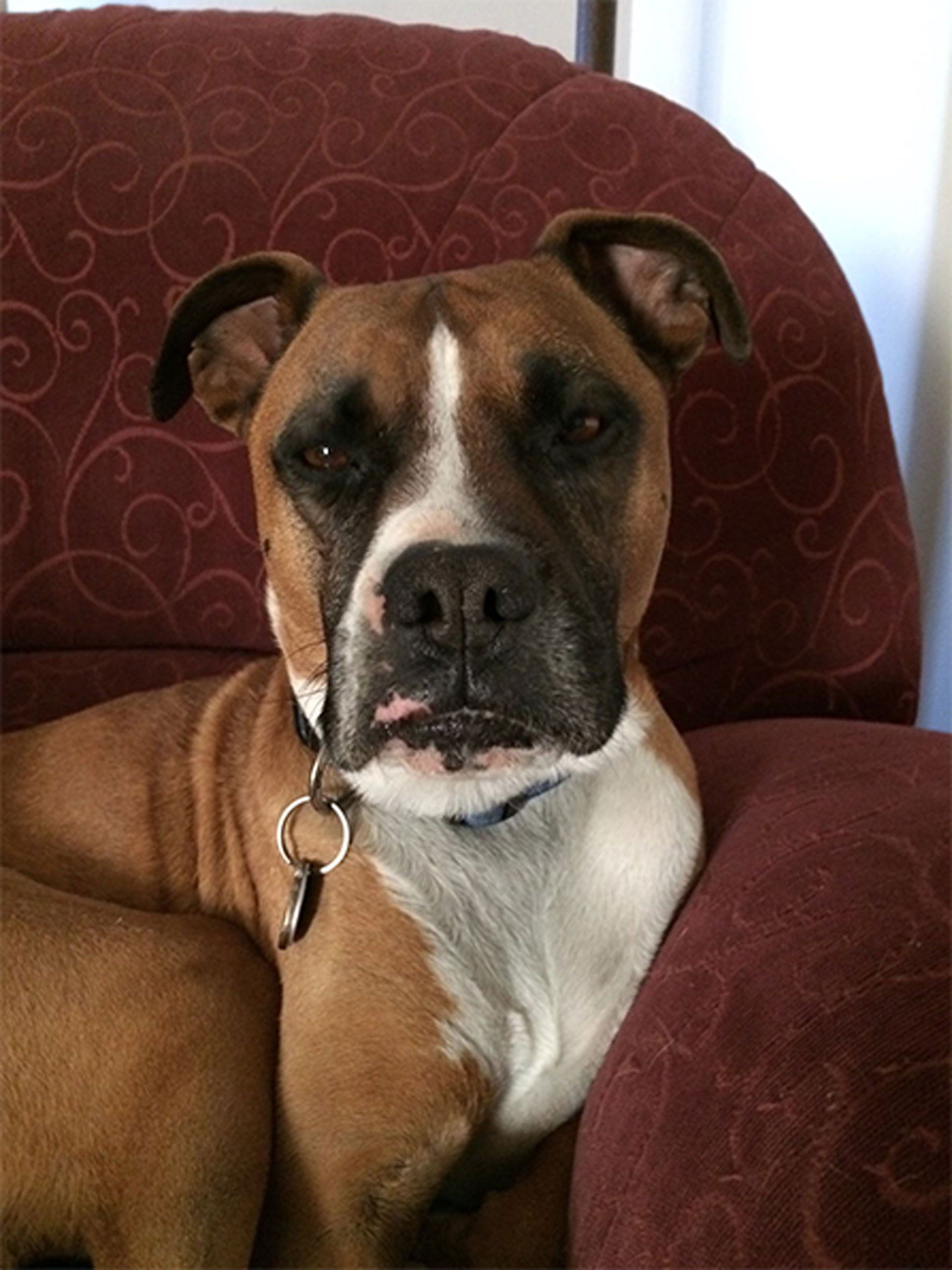 Sid